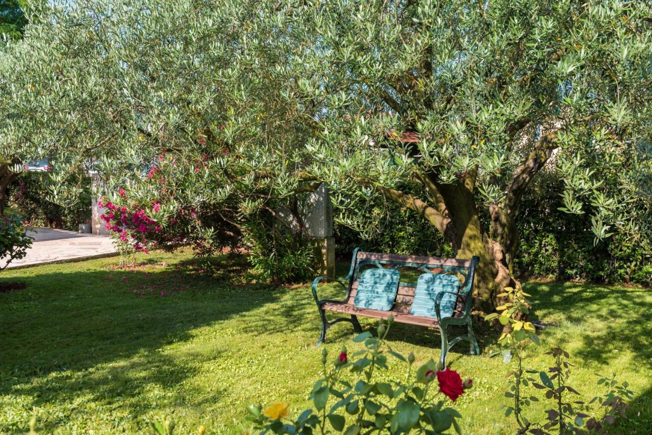B&B Carmela Umag Exterior foto